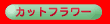 Jbgt[